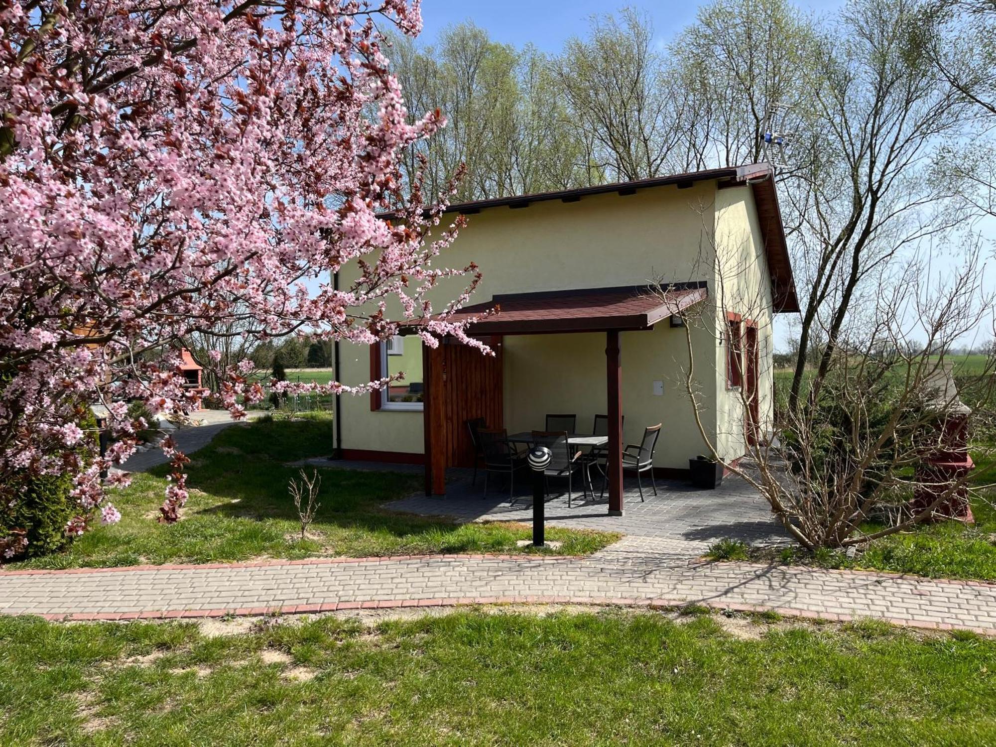 Domki I Pokoje Goscinne A A Malinowscy Stegna  Exterior photo